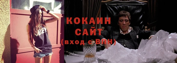 ECSTASY Богданович