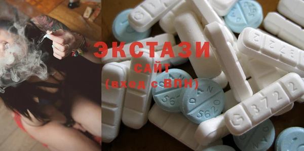 ECSTASY Богданович