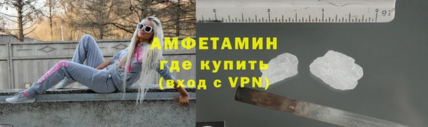 ECSTASY Богданович