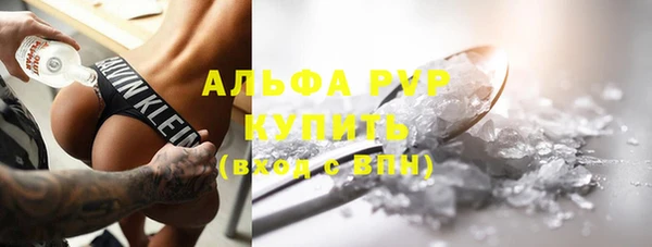ECSTASY Богданович