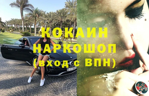 ECSTASY Богданович