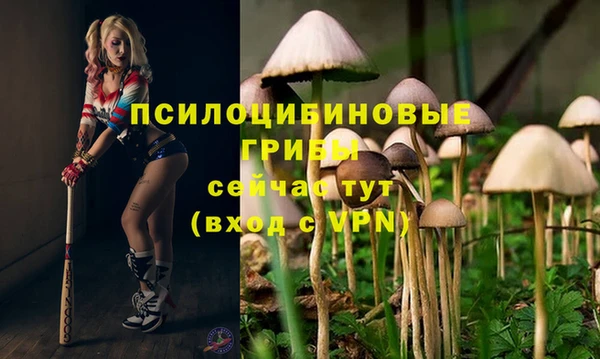 мдма Богородицк