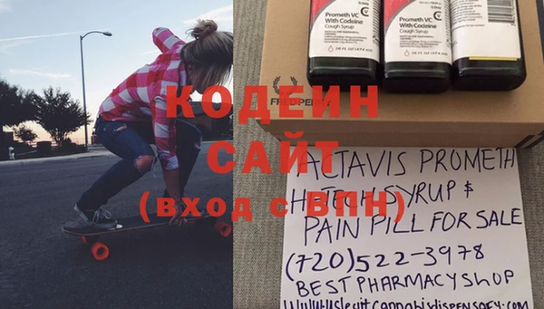 ECSTASY Богданович