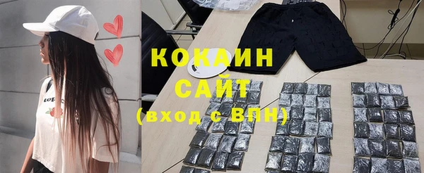 ECSTASY Богданович