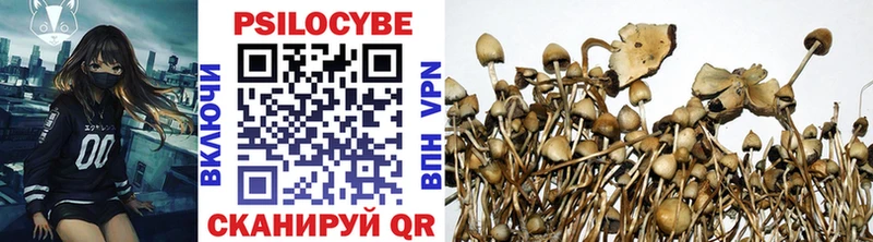Купить  Новозыбков  Галлюциногенные грибы ЛСД 